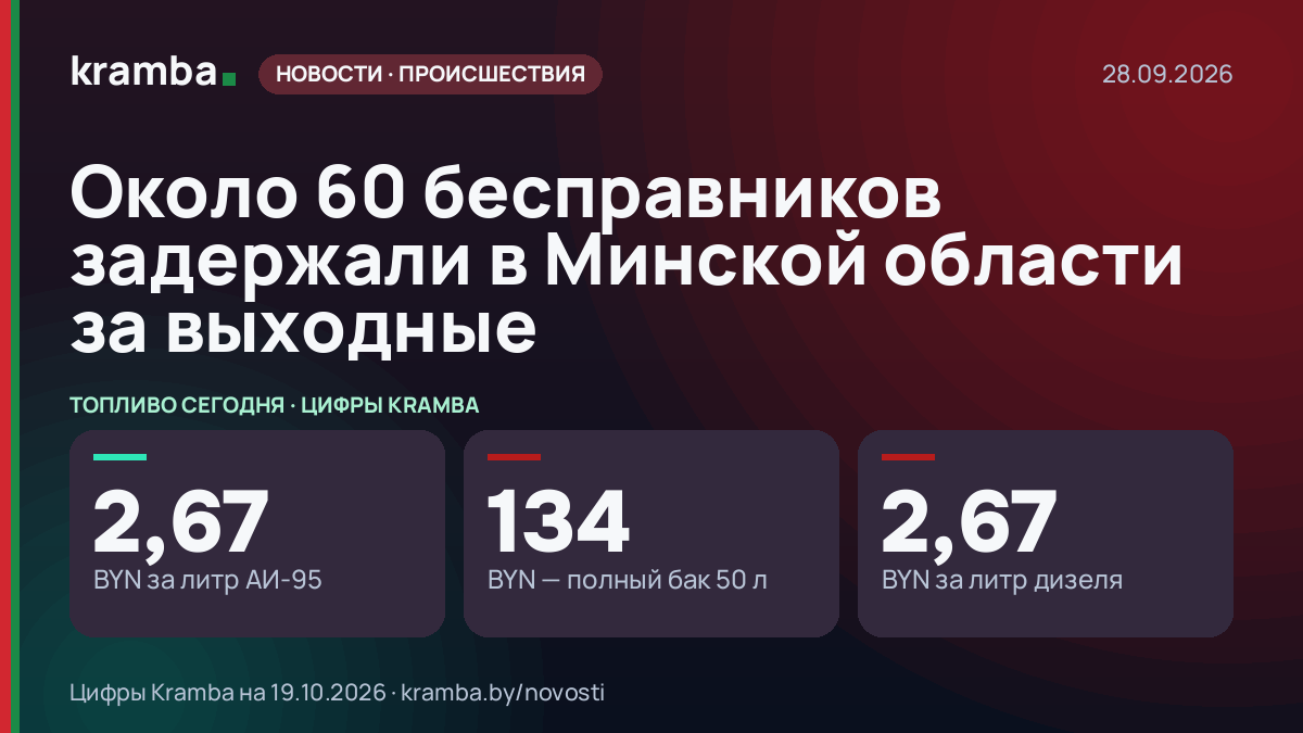 Инфографика Kramba: Около 60 бесправников задержали в Минской области за выходные