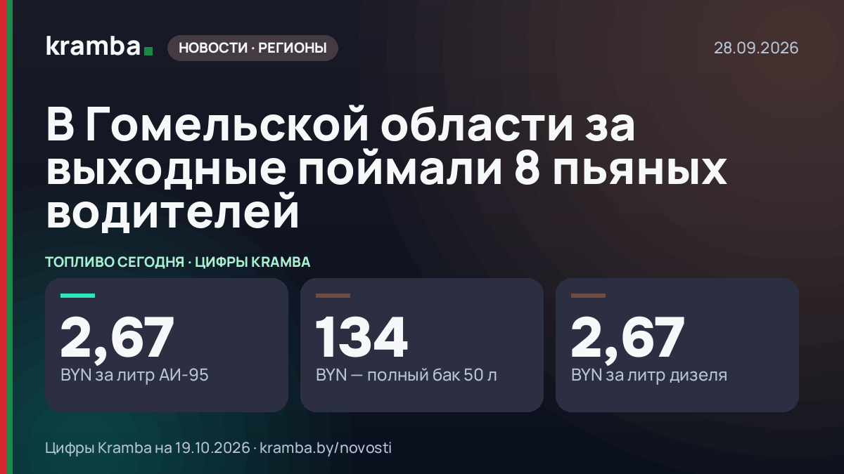Инфографика Kramba: В Гомельской области за выходные поймали 8 пьяных водителей