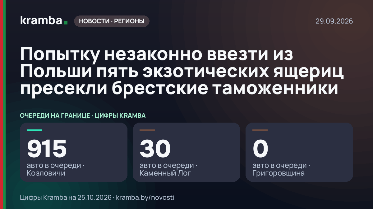Инфографика Kramba: Попытку незаконно ввезти из Польши пять экзотических ящериц пресекли брестские таможенники