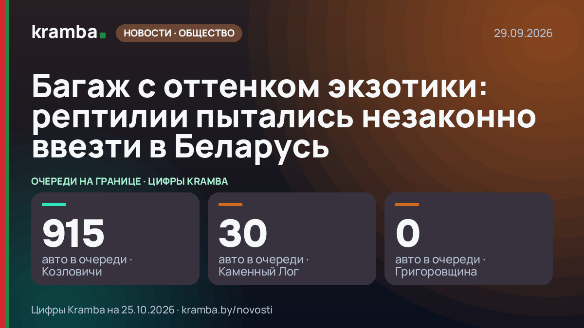 Инфографика Kramba: Багаж с оттенком экзотики: рептилии пытались незаконно ввезти в Беларусь