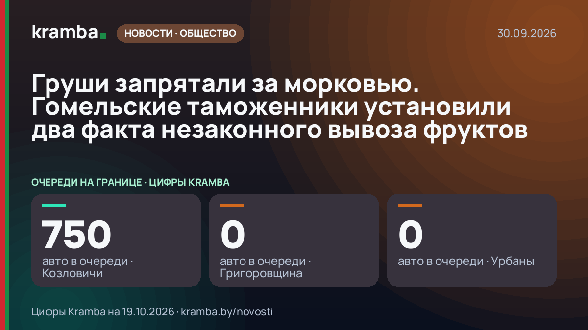 Инфографика Kramba: Груши запрятали за морковью. Гомельские таможенники установили два факта незаконного…
