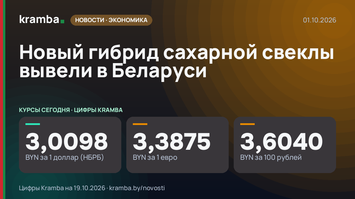 Инфографика Kramba: Новый гибрид сахарной свеклы вывели в Беларуси