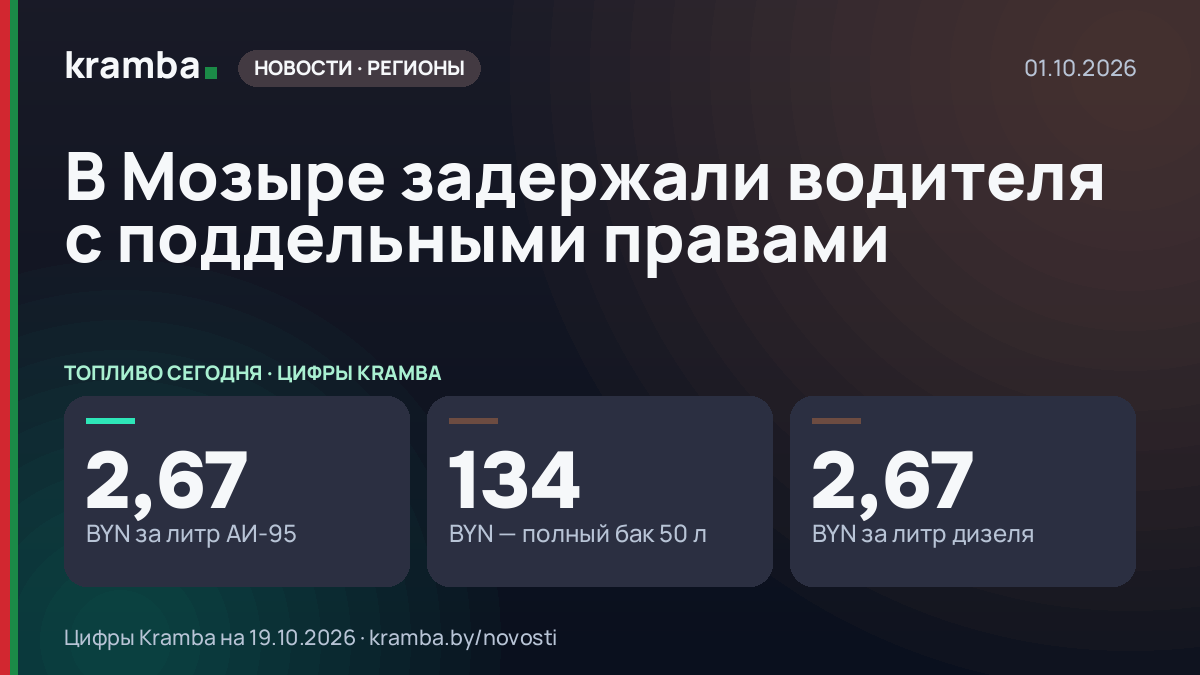 Инфографика Kramba: В Мозыре задержали водителя с поддельными правами