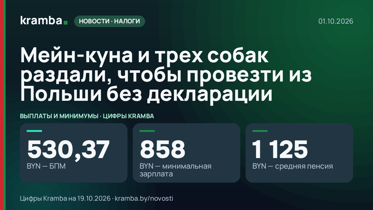 Инфографика Kramba: Мейн-куна и трех собак раздали, чтобы провезти из Польши без декларации