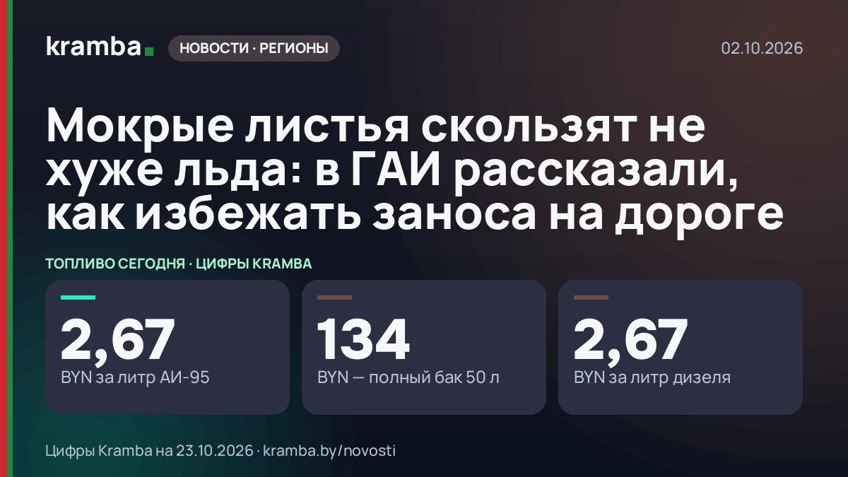 Инфографика Kramba: Мокрые листья скользят не хуже льда: в ГАИ рассказали, как избежать заноса на дороге