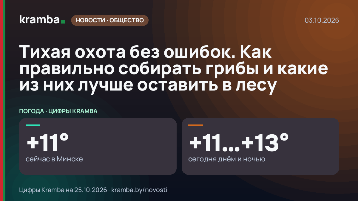 Инфографика Kramba: Тихая охота без ошибок. Как правильно собирать грибы и какие из них лучше оставить в лесу