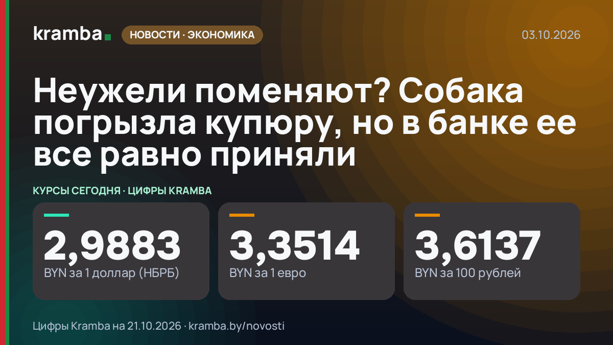 Инфографика Kramba: Неужели поменяют? Собака погрызла купюру, но в банке ее все равно приняли