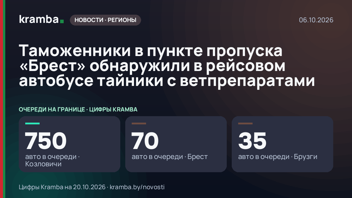 Инфографика Kramba: Таможенники в пункте пропуска «Брест» обнаружили в рейсовом автобусе тайники с…