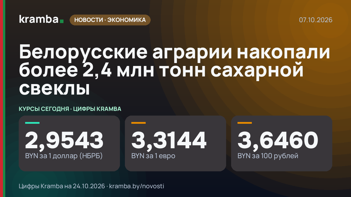 Инфографика Kramba: Белорусские аграрии накопали более 2,4 млн тонн сахарной свеклы