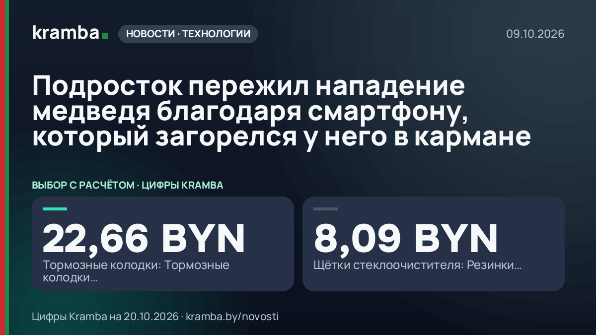 Инфографика Kramba: Подросток пережил нападение медведя благодаря смартфону, который загорелся у него в…