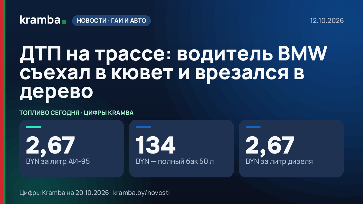 Инфографика Kramba: ДТП на трассе: водитель BMW съехал в кювет и врезался в дерево