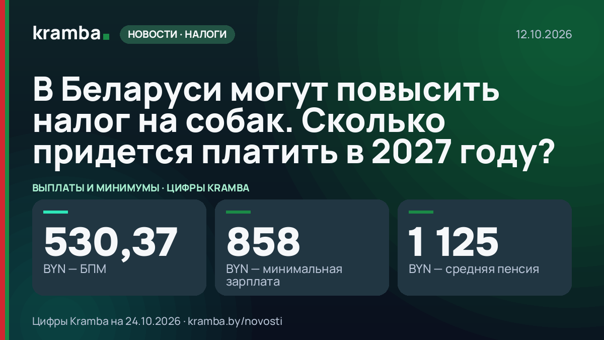 Инфографика Kramba: В Беларуси могут повысить налог на собак. Сколько придется платить в 2027 году?