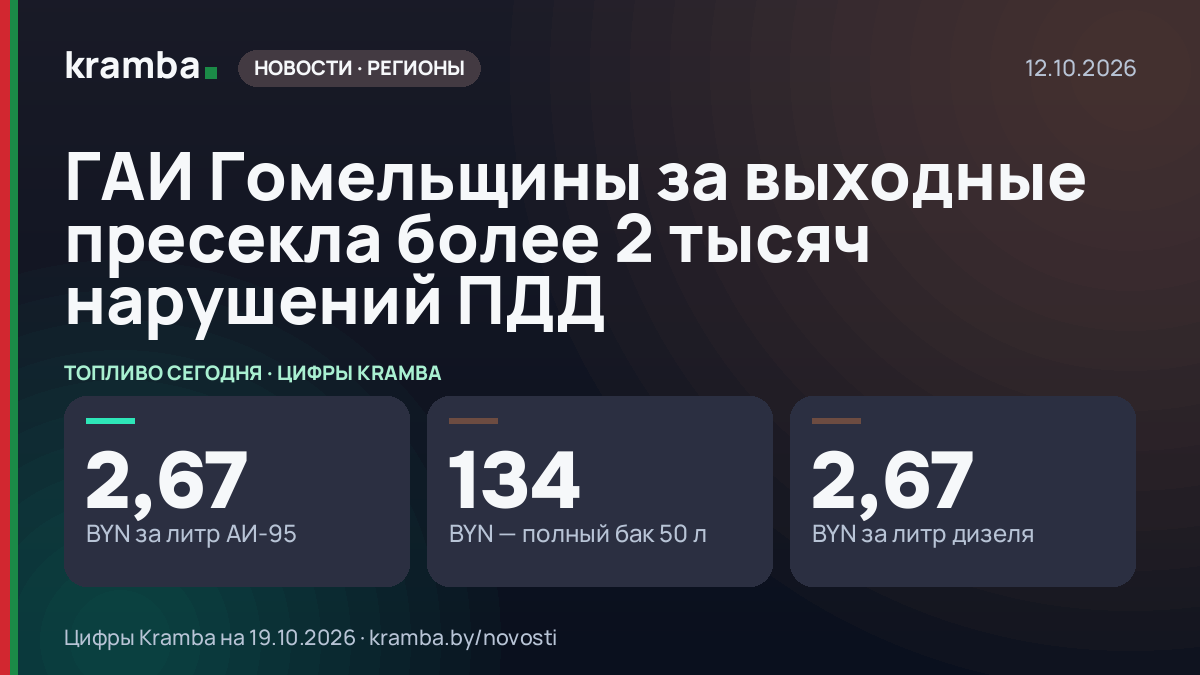 Инфографика Kramba: ГАИ Гомельщины за выходные пресекла более 2 тысяч нарушений ПДД