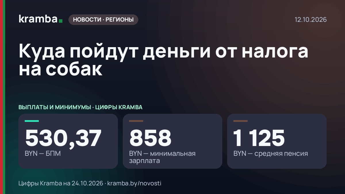 Инфографика Kramba: Куда пойдут деньги от налога на собак