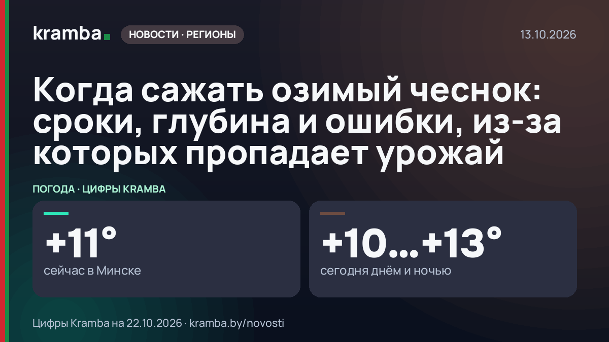 Инфографика Kramba: Когда сажать озимый чеснок: сроки, глубина и ошибки, из-за которых пропадает урожай