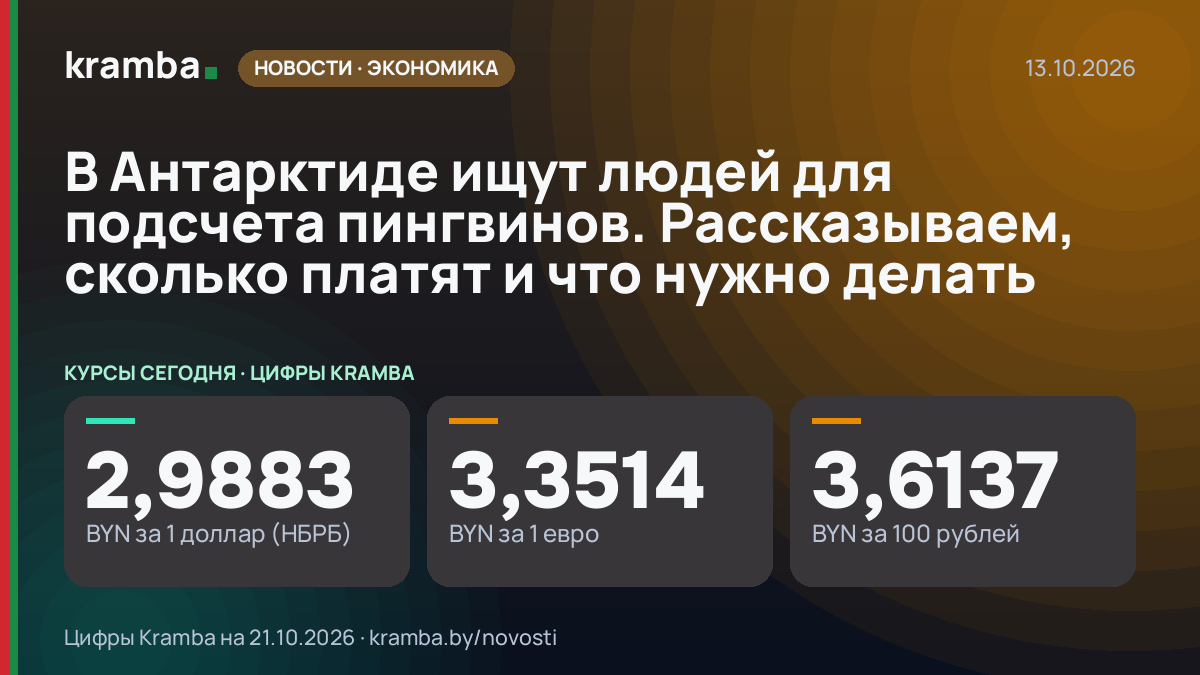Инфографика Kramba: В Антарктиде ищут людей для подсчета пингвинов. Рассказываем, сколько платят и что нужно…