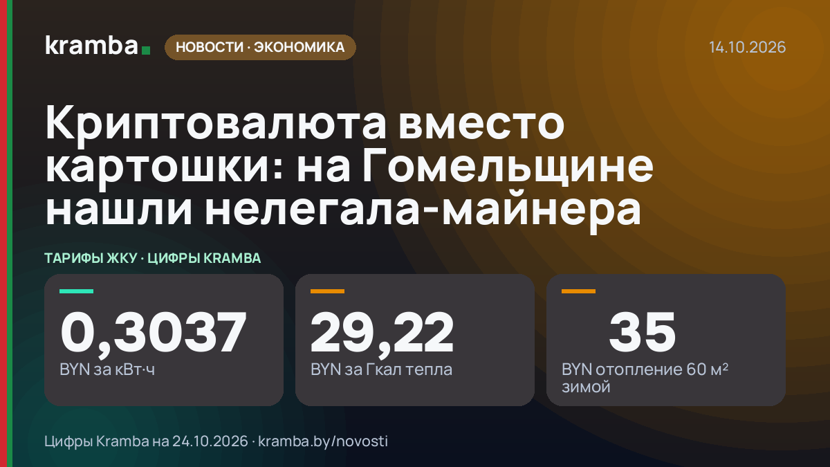 Инфографика Kramba: Криптовалюта вместо картошки: на Гомельщине нашли нелегала-майнера