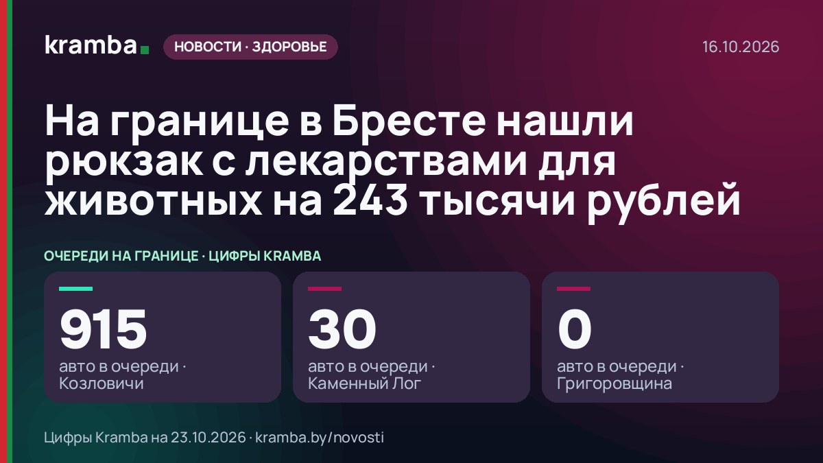 Инфографика Kramba: На границе в Бресте нашли рюкзак с лекарствами для животных на 243 тысячи рублей