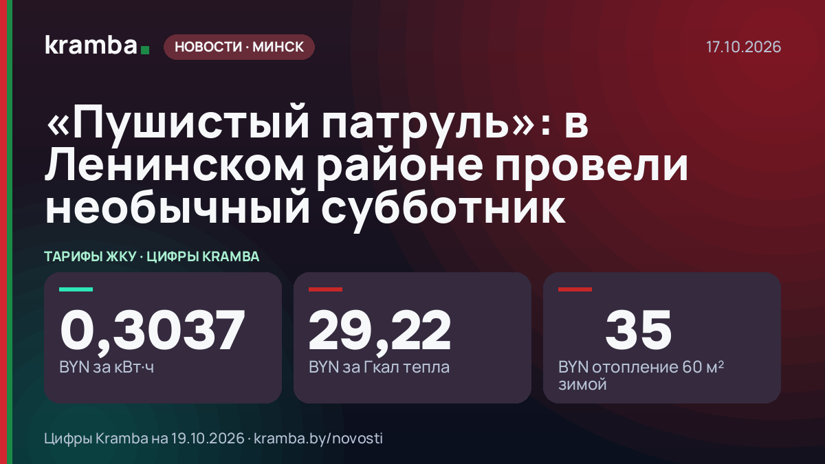 Инфографика Kramba: «Пушистый патруль»: в Ленинском районе провели необычный субботник