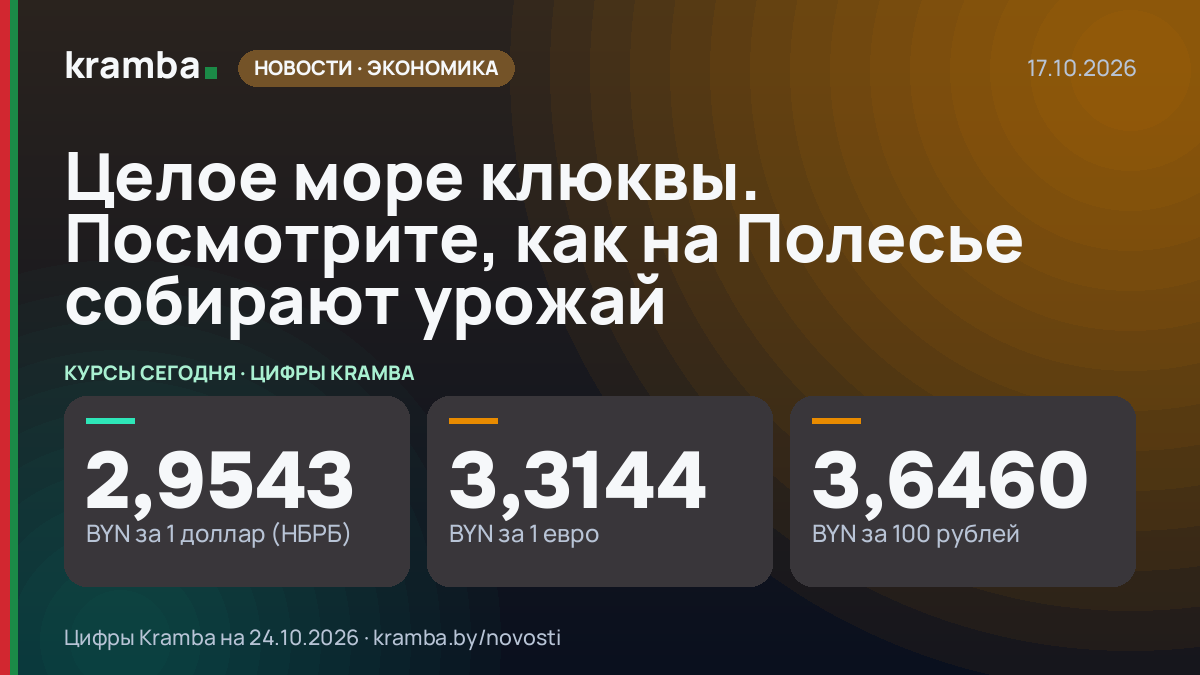 Инфографика Kramba: Целое море клюквы. Посмотрите, как на Полесье собирают урожай