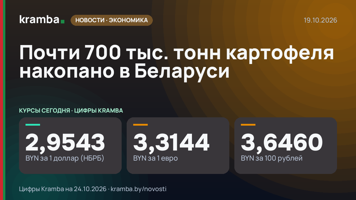 Инфографика Kramba: Почти 700 тыс. тонн картофеля накопано в Беларуси