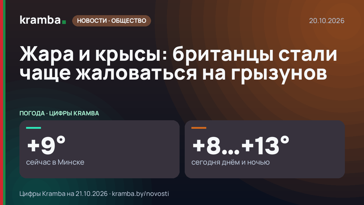 Инфографика Kramba: Жара и крысы: британцы стали чаще жаловаться на грызунов