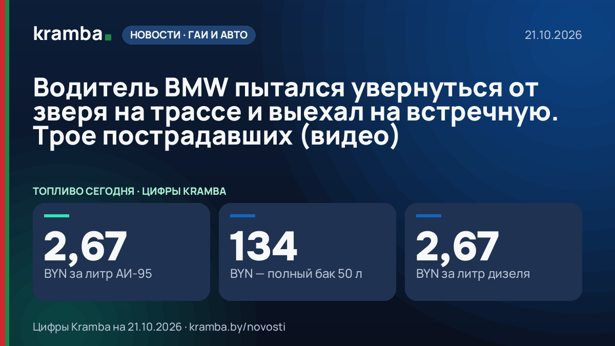Инфографика Kramba: Водитель BMW пытался увернуться от зверя на трассе и выехал на встречную. Трое…