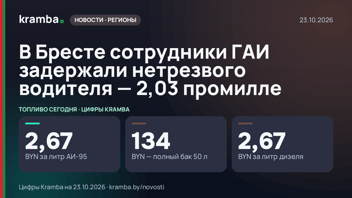 Инфографика Kramba: В Бресте сотрудники ГАИ задержали нетрезвого водителя — 2,03 промилле