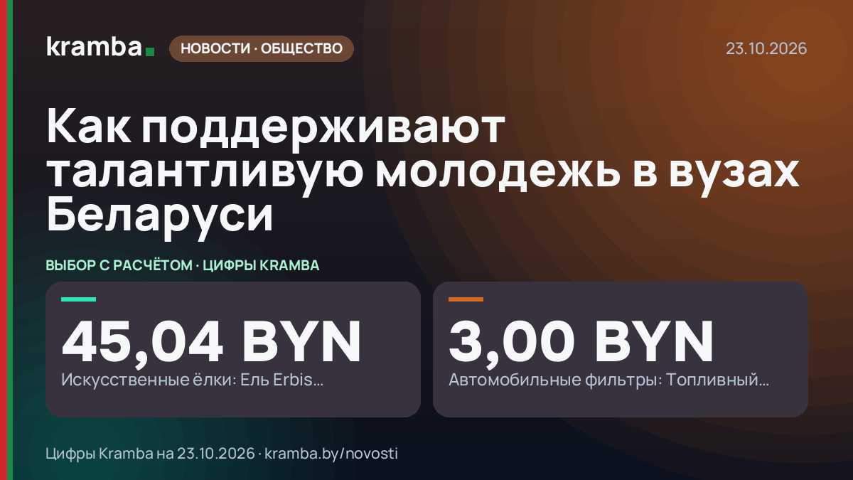 Инфографика Kramba: Как поддерживают талантливую молодежь в вузах Беларуси