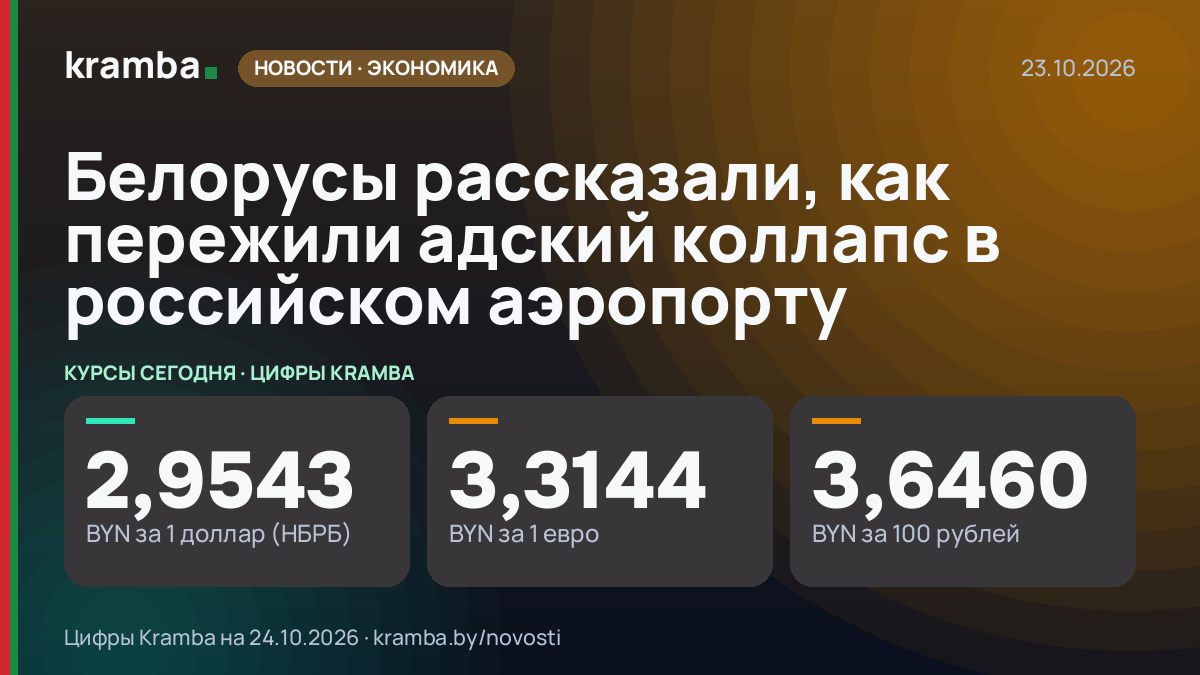 Инфографика Kramba: Белорусы рассказали, как пережили адский коллапс в российском аэропорту