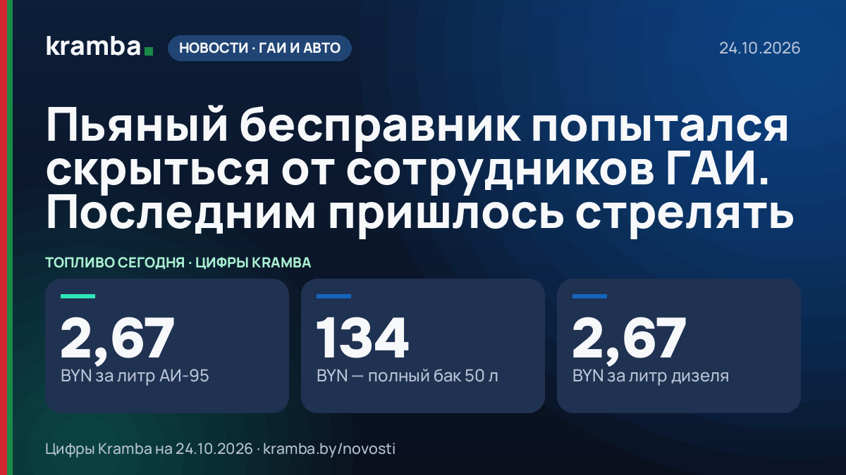 Инфографика Kramba: Пьяный бесправник попытался скрыться от сотрудников ГАИ. Последним пришлось стрелять