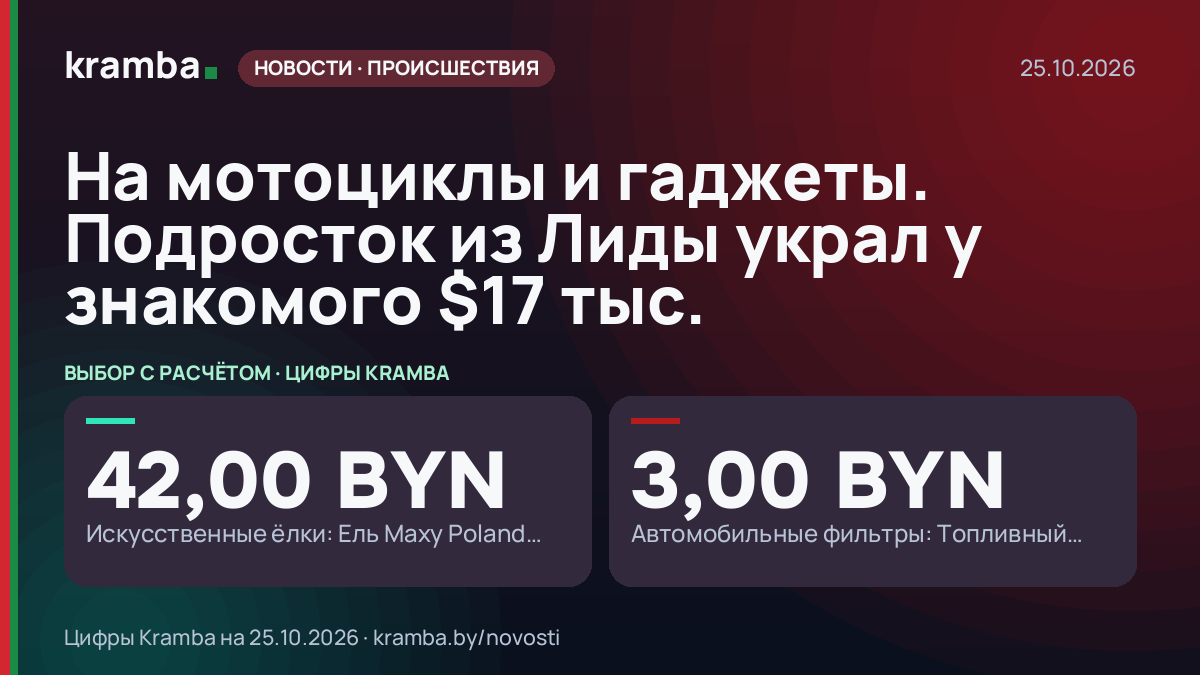 Инфографика Kramba: На мотоциклы и гаджеты. Подросток из Лиды украл у знакомого $17 тыс.