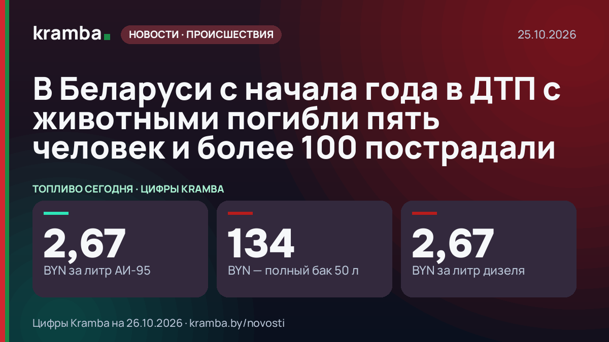 Инфографика Kramba: В Беларуси с начала года в ДТП с животными погибли пять человек и более 100 пострадали