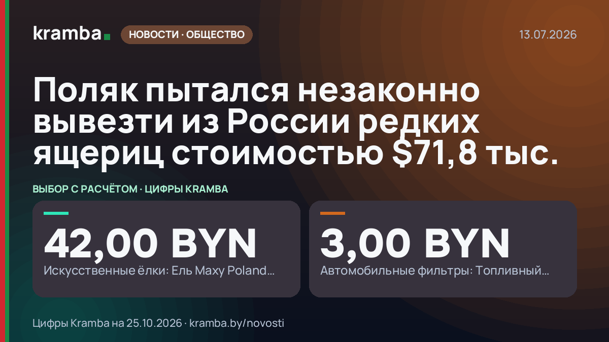 Инфографика Kramba: Поляк пытался незаконно вывезти из России редких ящериц стоимостью $71,8 тыс.