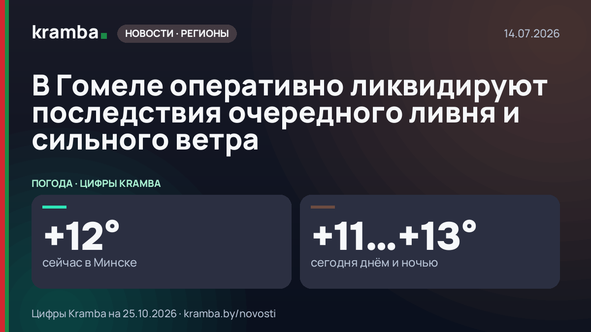 Инфографика Kramba: В Гомеле оперативно ликвидируют последствия очередного ливня и сильного ветра