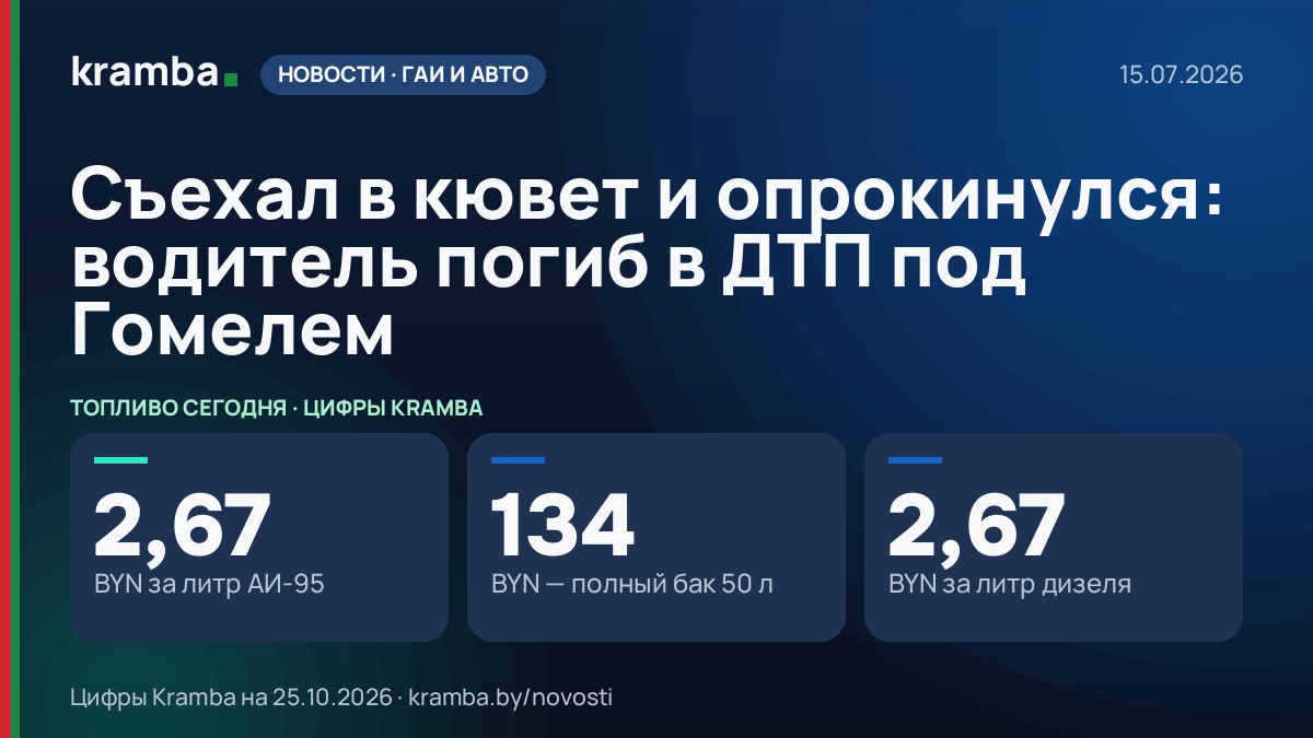 Инфографика Kramba: Съехал в кювет и опрокинулся: водитель погиб в ДТП под Гомелем