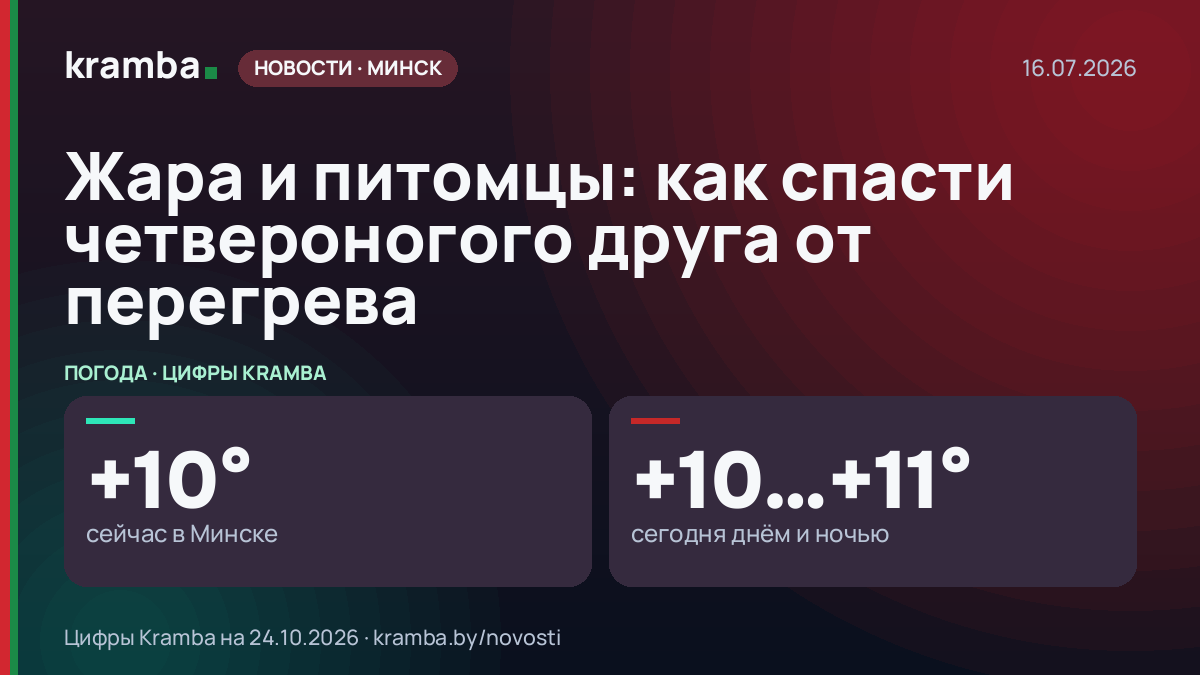 Инфографика Kramba: Жара и питомцы: как спасти четвероногого друга от перегрева