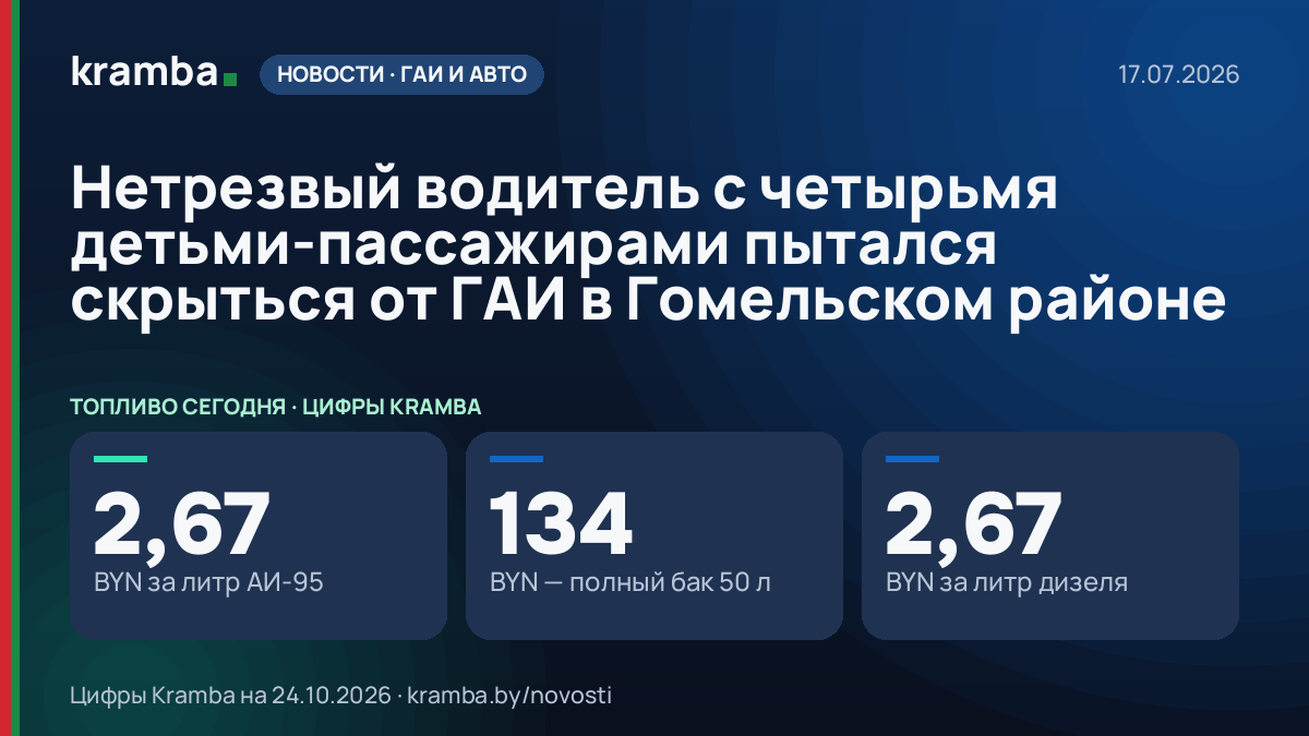 Инфографика Kramba: Нетрезвый водитель с четырьмя детьми-пассажирами пытался скрыться от ГАИ в Гомельском…