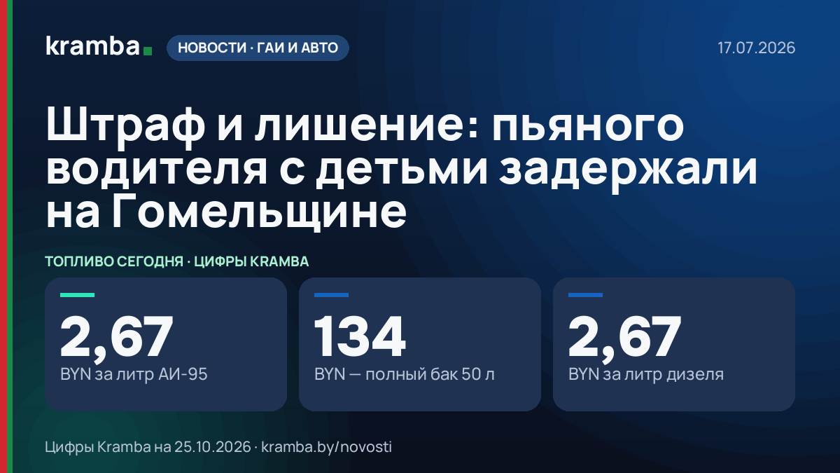 Инфографика Kramba: Штраф и лишение: пьяного водителя с детьми задержали на Гомельщине