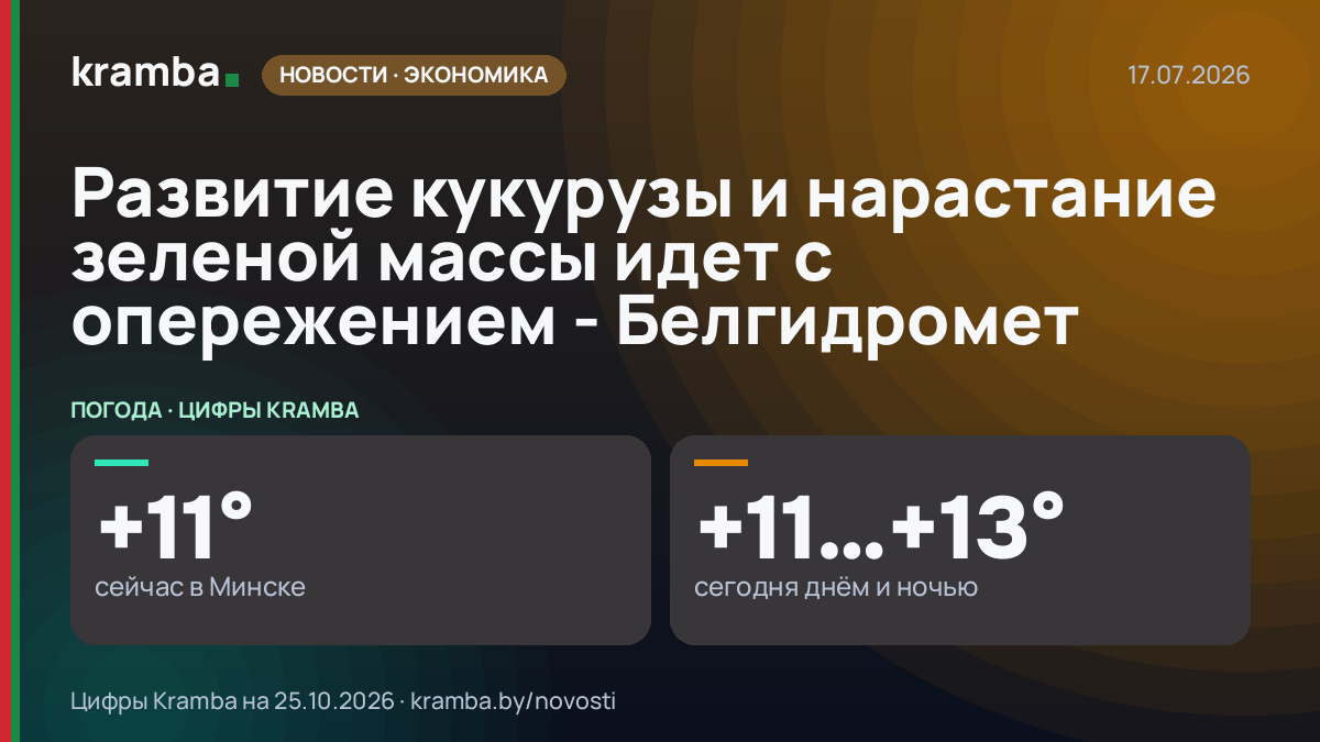 Инфографика Kramba: Развитие кукурузы и нарастание зеленой массы идет с опережением - Белгидромет