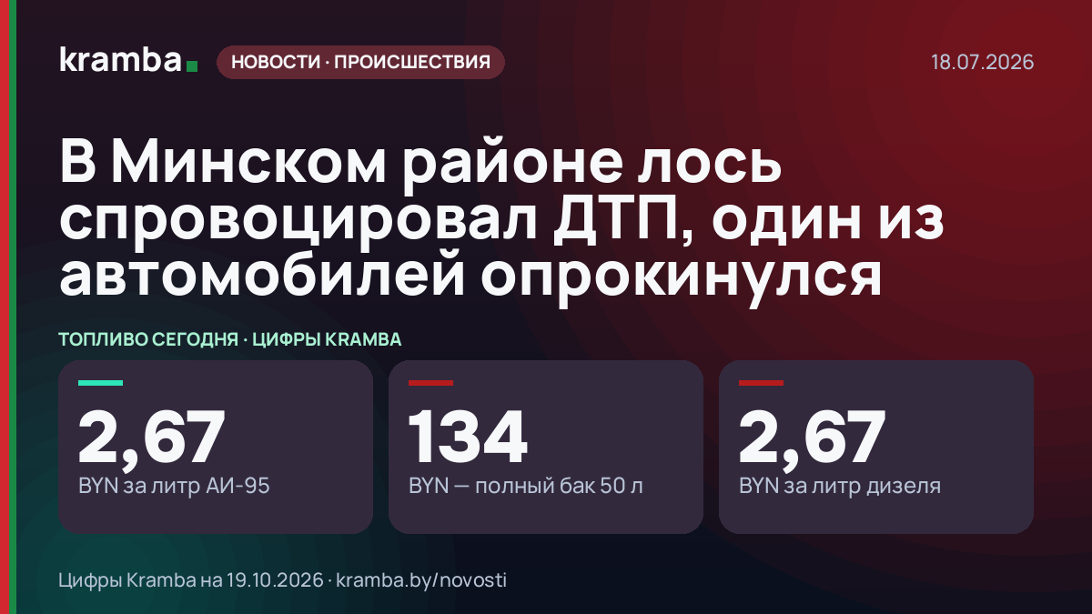 Инфографика Kramba: В Минском районе лось спровоцировал ДТП, один из автомобилей опрокинулся