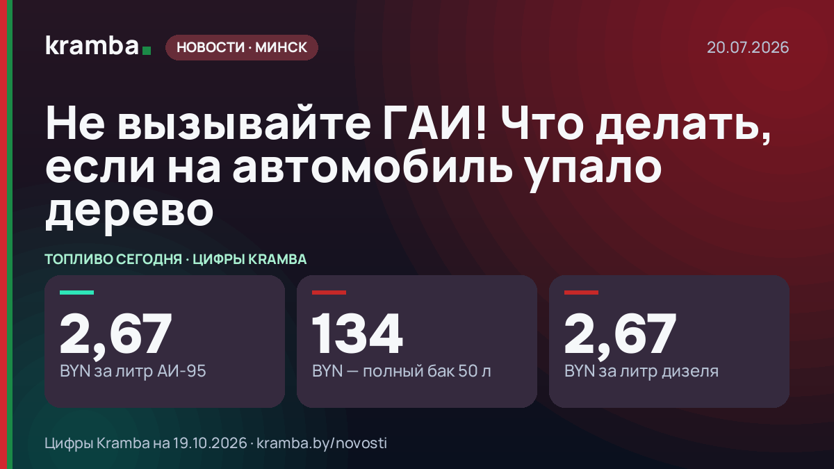 Инфографика Kramba: Не вызывайте ГАИ! Что делать, если на автомобиль упало дерево