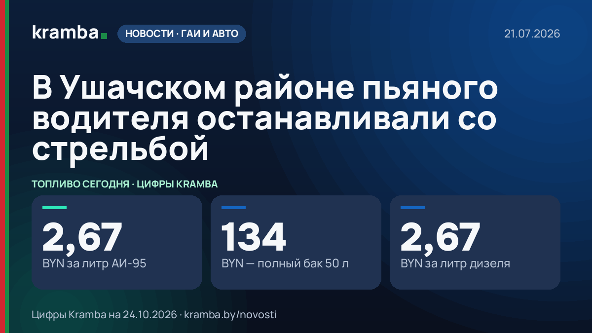 Инфографика Kramba: В Ушачском районе пьяного водителя останавливали со стрельбой