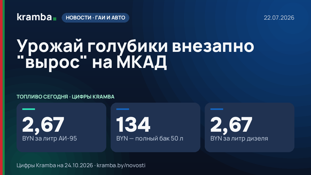 Инфографика Kramba: Урожай голубики внезапно "вырос" на МКАД