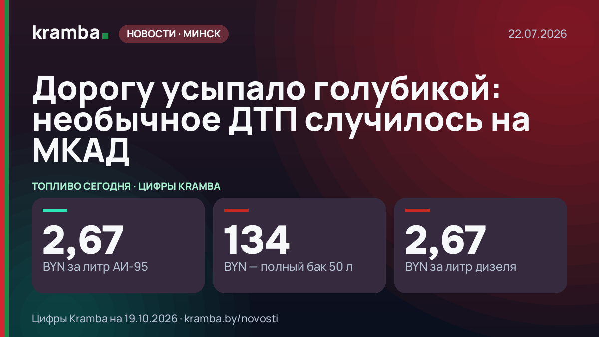 Инфографика Kramba: Дорогу усыпало голубикой: необычное ДТП случилось на МКАД