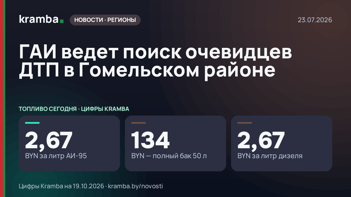 Инфографика Kramba: ГАИ ведет поиск очевидцев ДТП в Гомельском районе