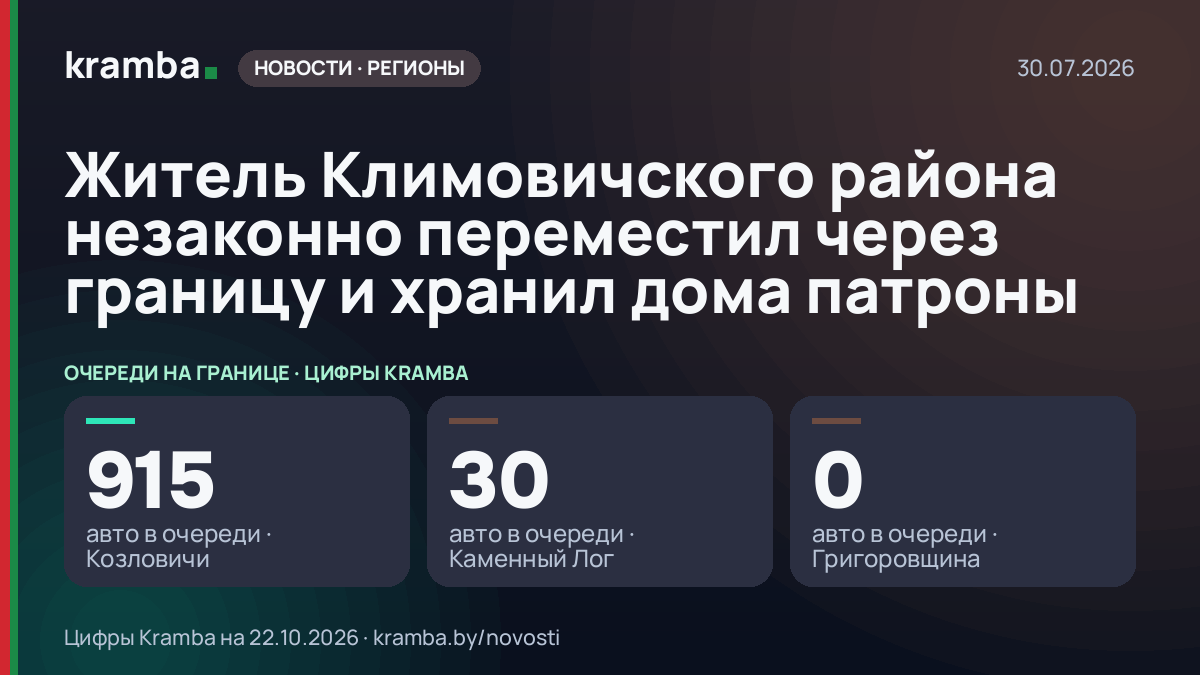 Инфографика Kramba: Житель Климовичского района незаконно переместил через границу и хранил дома патроны