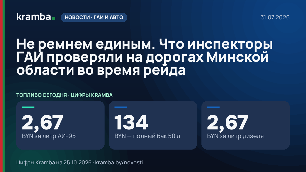 Инфографика Kramba: Не ремнем единым. Что инспекторы ГАИ проверяли на дорогах Минской области во время рейда
