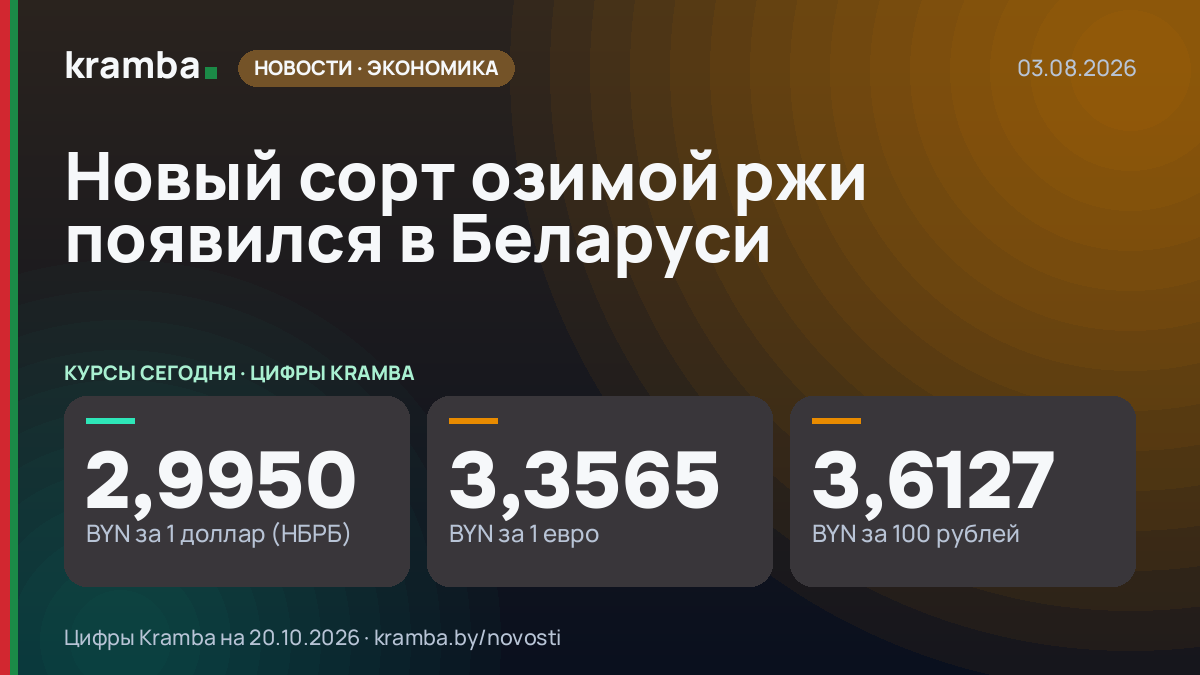 Инфографика Kramba: Новый сорт озимой ржи появился в Беларуси