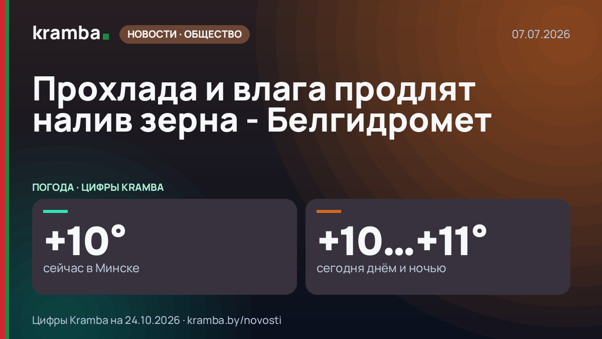 Инфографика Kramba: Прохлада и влага продлят налив зерна - Белгидромет